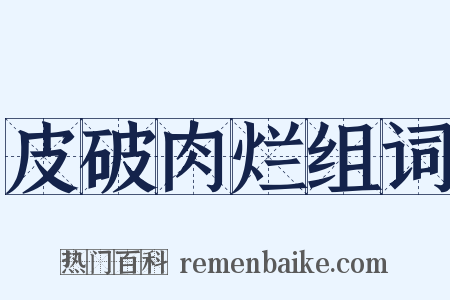 皮破肉烂组词是什么意思的图片